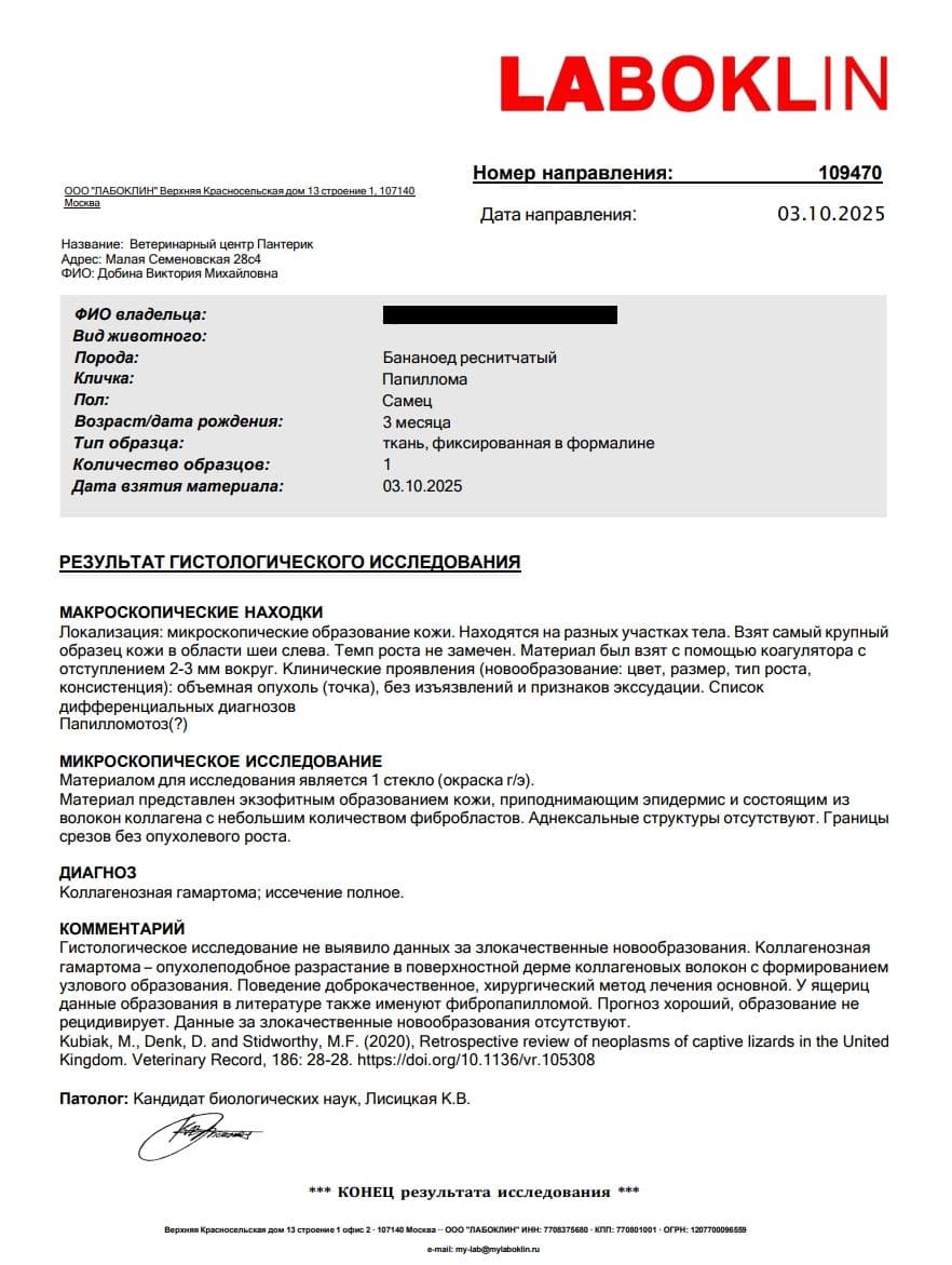 Результат исследования №54701-1.jpg